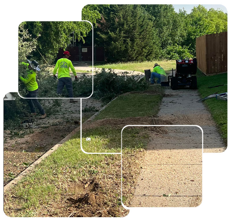 Lot Clearing Services in Lewisville, TX