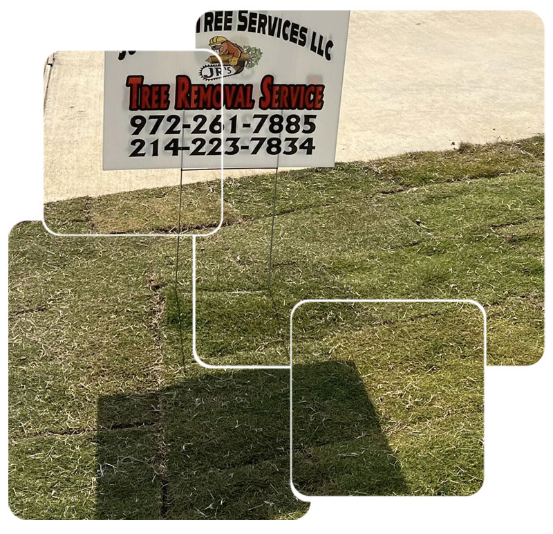 New Sod Installation in Lewisville, TX