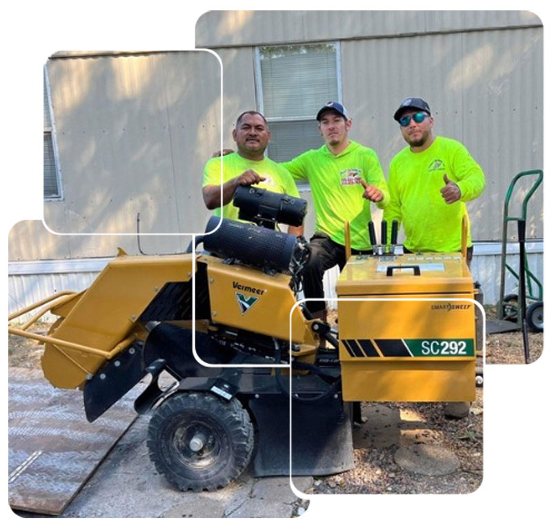 Stump Grinding in Lewisville, TX