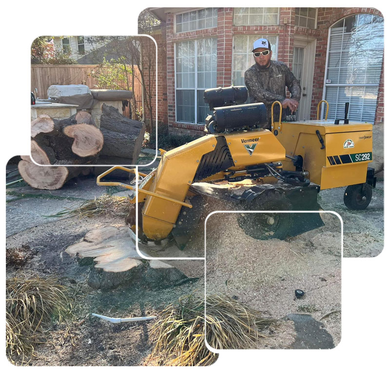 Stump Grinding in Lewisville, TX