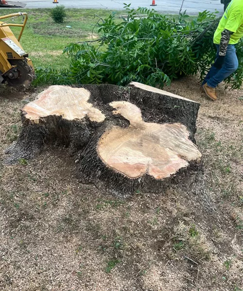 Stump Grinding