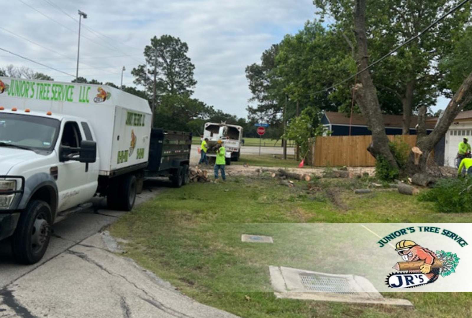 Eco-friendly lot clearing supporting healthy land growth in Irving, Texas