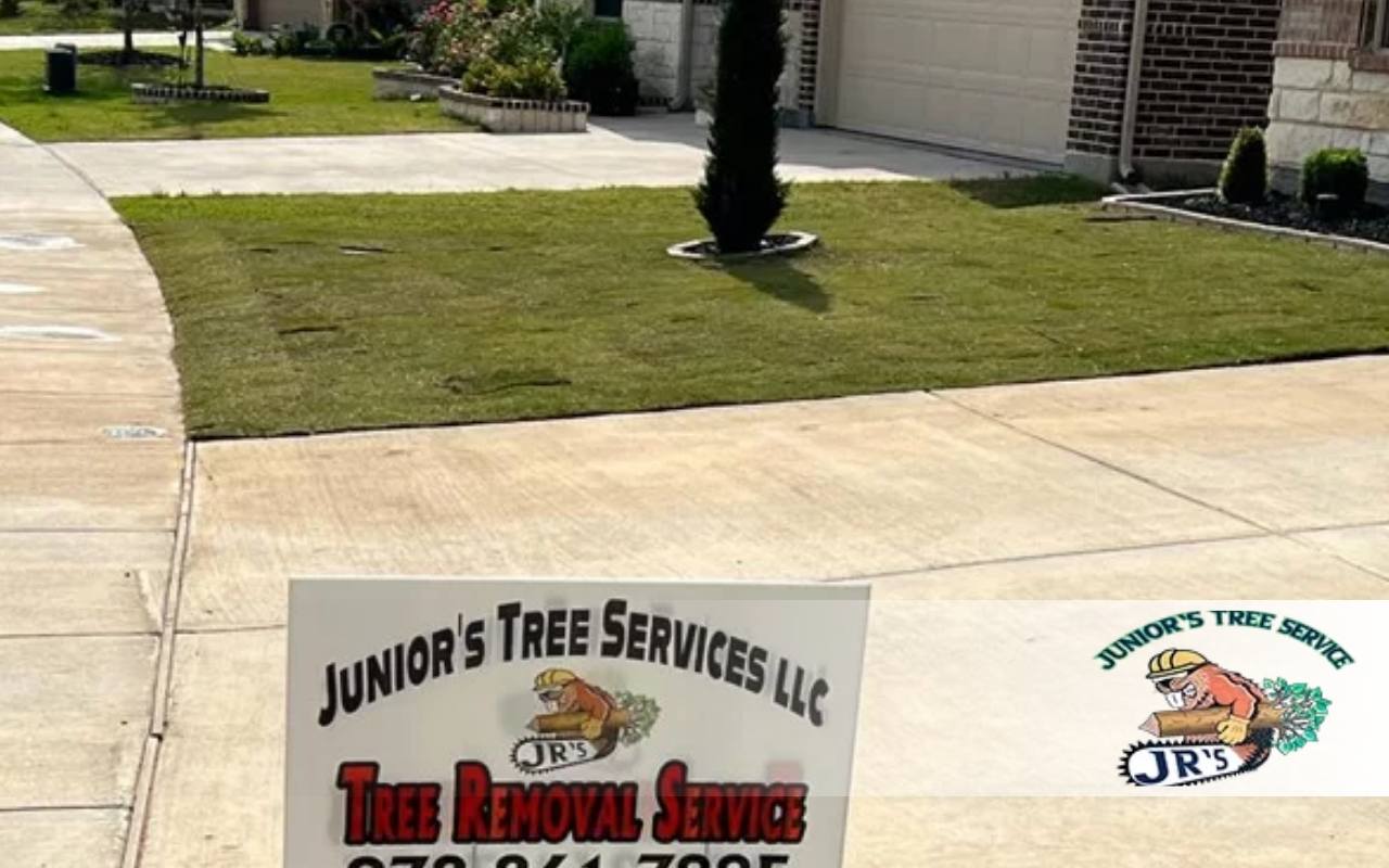 When to Fertilize New Sod