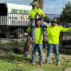 Our Team in Action - 014