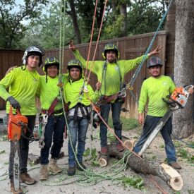 Our Team in Action - 016