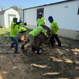 Our Team in Action - 026