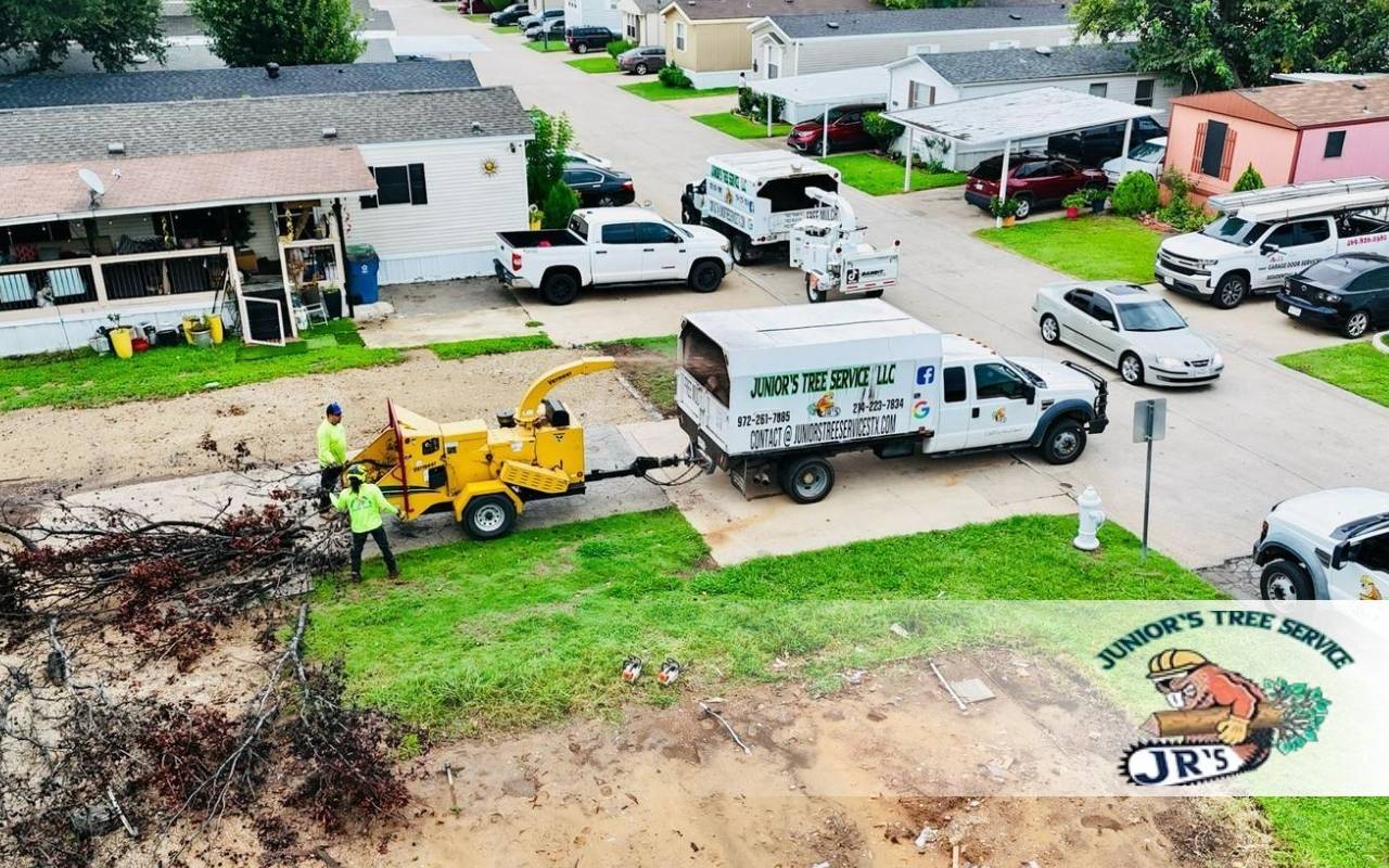 Stump Grinding Cost in Irving, TX (2025): Pricing Factors & Quotes
