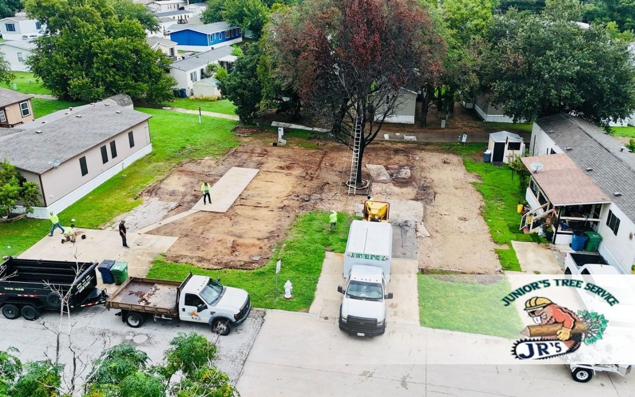 Easy Guide to Your Winter Lawn Watering Schedule in Lewisville: Top Tips for Success