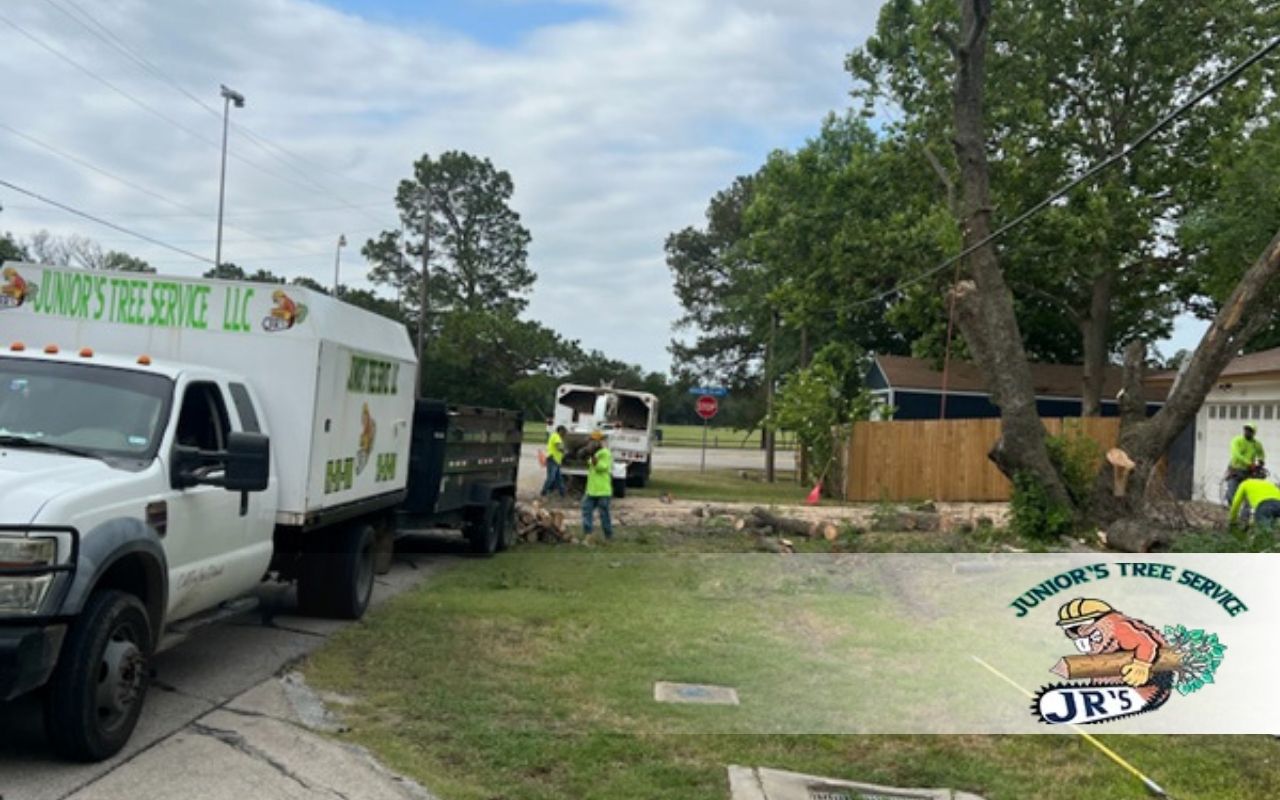 Learn the Real Lot Clearing Services in Irving TX Cost