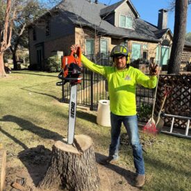 Out Team - Tree Removal 2