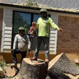 Out Team - Tree Removal 5
