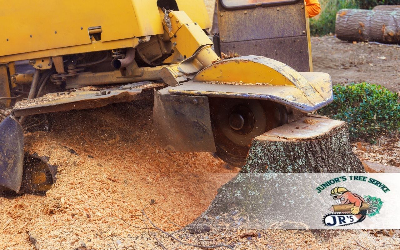 Expert Stump Removal Before Landscaping In Lewisville For Homeowners