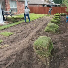 Tree Removal Recent Project 1 - Juniors Tree Services