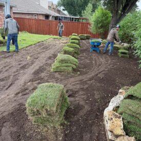 Tree Removal Recent Project 5 - Juniors Tree Services