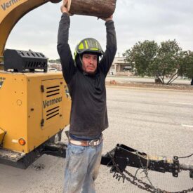Tree Removal Recent Project 6 - Juniors Tree Services