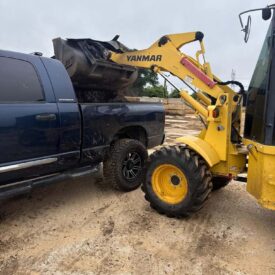 Tree Removal Recent Project 9 - Juniors Tree Services
