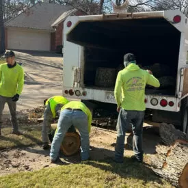 portfolio-junior-tree-services-14